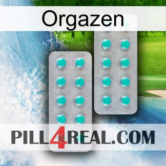 Orgazen 29